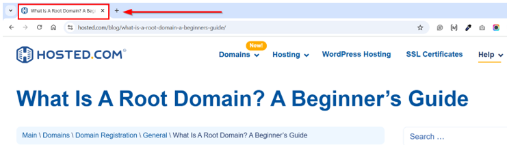 How To Hide Page Title In WordPress - Page Title in Browser Tab