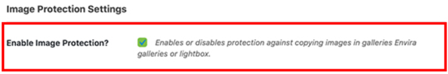 Disable Right Click On Your WordPress Website - Enable Image Protection Using Envira Gallery Plugin