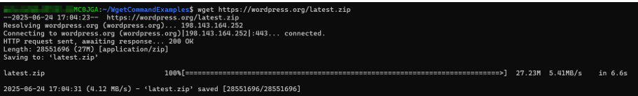 How To Use The Wget Command -Use wget Command to Download Single File 