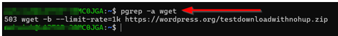 How To Use The Wget Command - Verify Process Running in Background