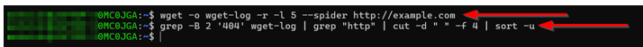 How To Use The Wget Command - Filter 404 Errors from Scanned Website