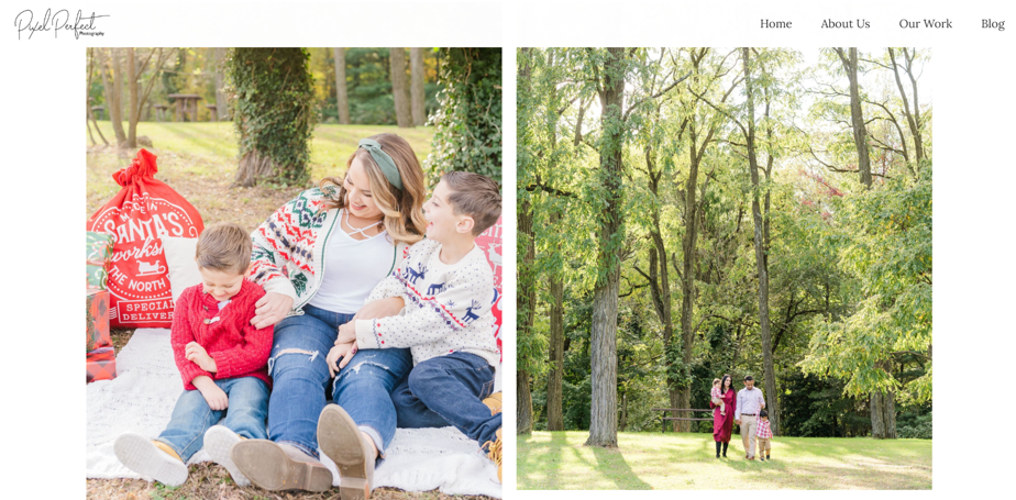 How To Start A Photography Business - Pixel Perfect  Photography Website