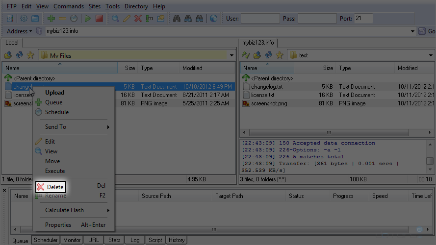 Step 4 - Upload Files Using LeapFTP - Delete