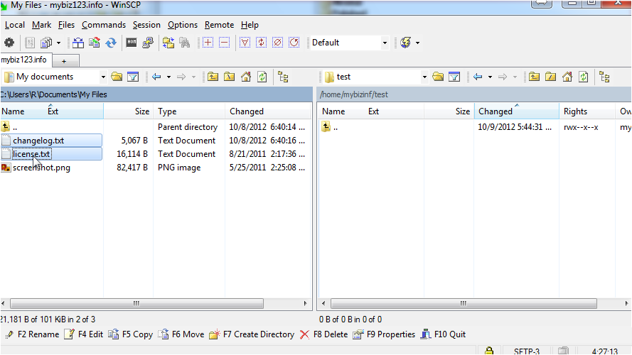How To Upload Files Using WinSCP - Local Panel