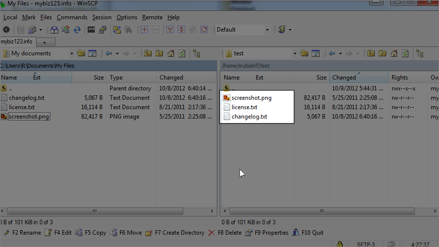 How To Upload Files Using WinSCP - Uploaded