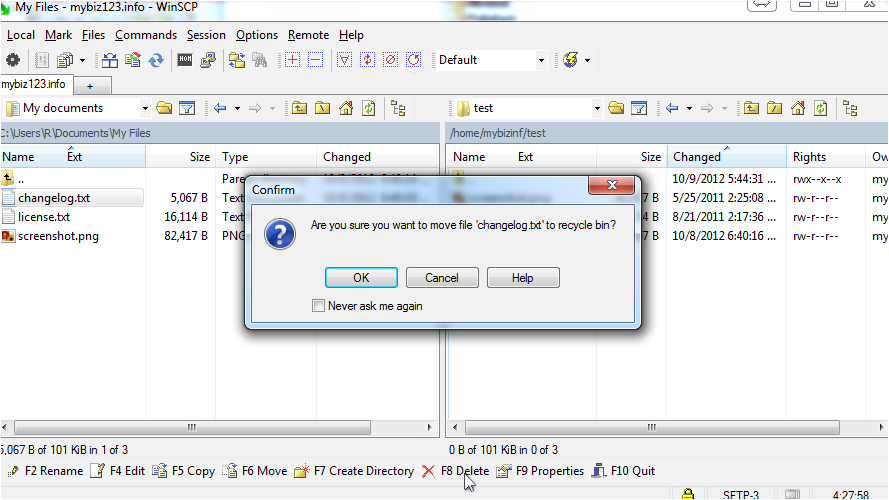 How To Upload Files Using WinSCP - Deleting