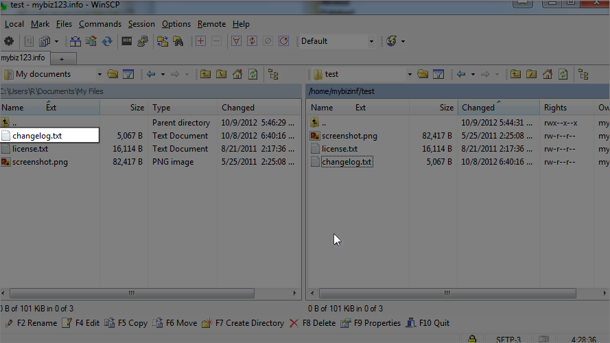 How To Upload Files Using WinSCP - File Uploaded