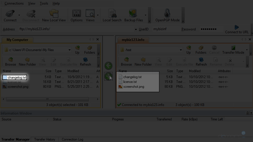 Upload Files Using WS FTP - Remote Server