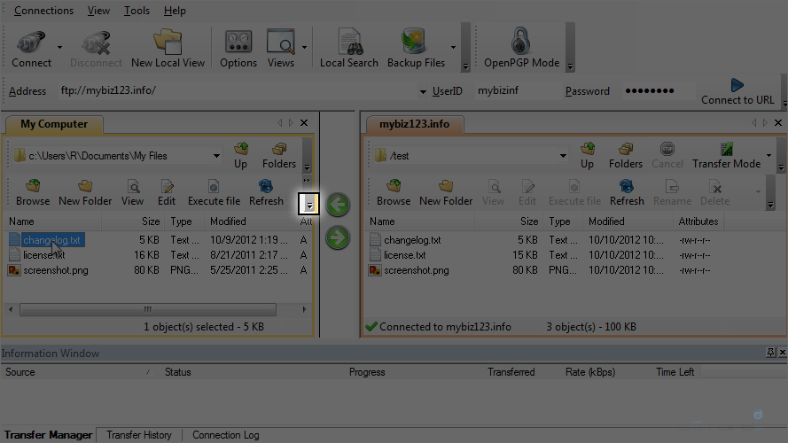 Upload Files Using WS FTP - Select File