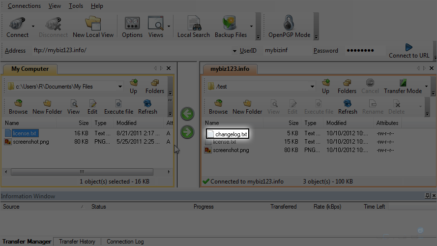 Upload Files Using WS FTP - Select File