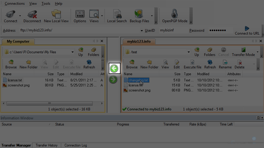 Upload Files Using WS FTP - Download