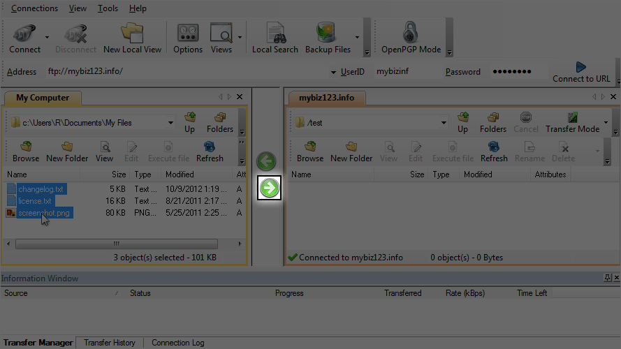 Scrteenshot showing CuteFTP - Upload Arrow Button