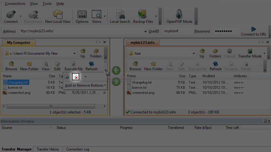 Scrteenshot showing CuteFTP - Delete Icon
