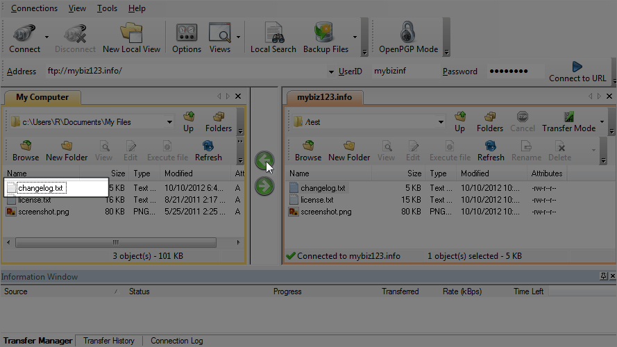 Scrteenshot showing CuteFTP - changelog.txt File