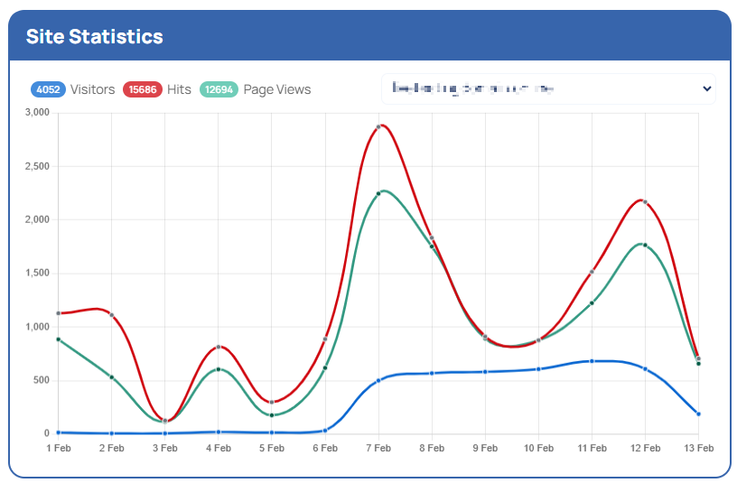 The Meaning Of Website Statistics - Website Stats