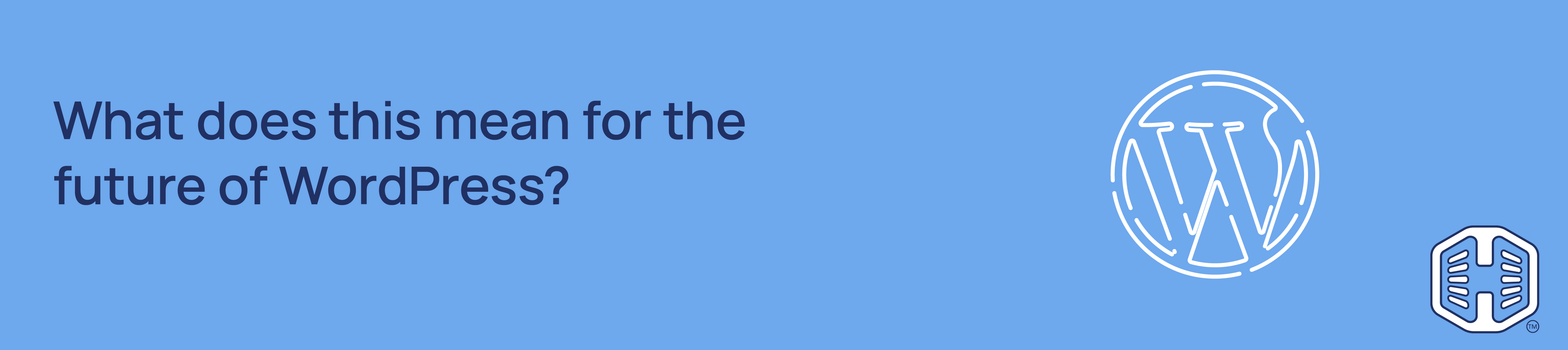 Strip Banner Text - What does this mean for the future of WordPress?