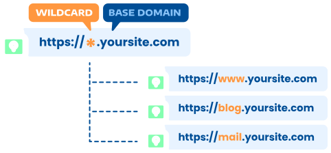 Hosted.com&reg; - DV Wildcard SSL Certificate